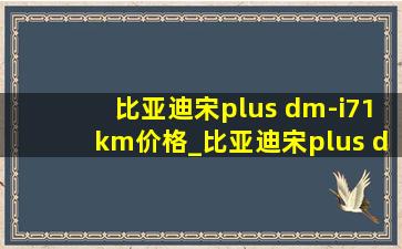 比亚迪宋plus dm-i71km价格_比亚迪宋plus dm-i71